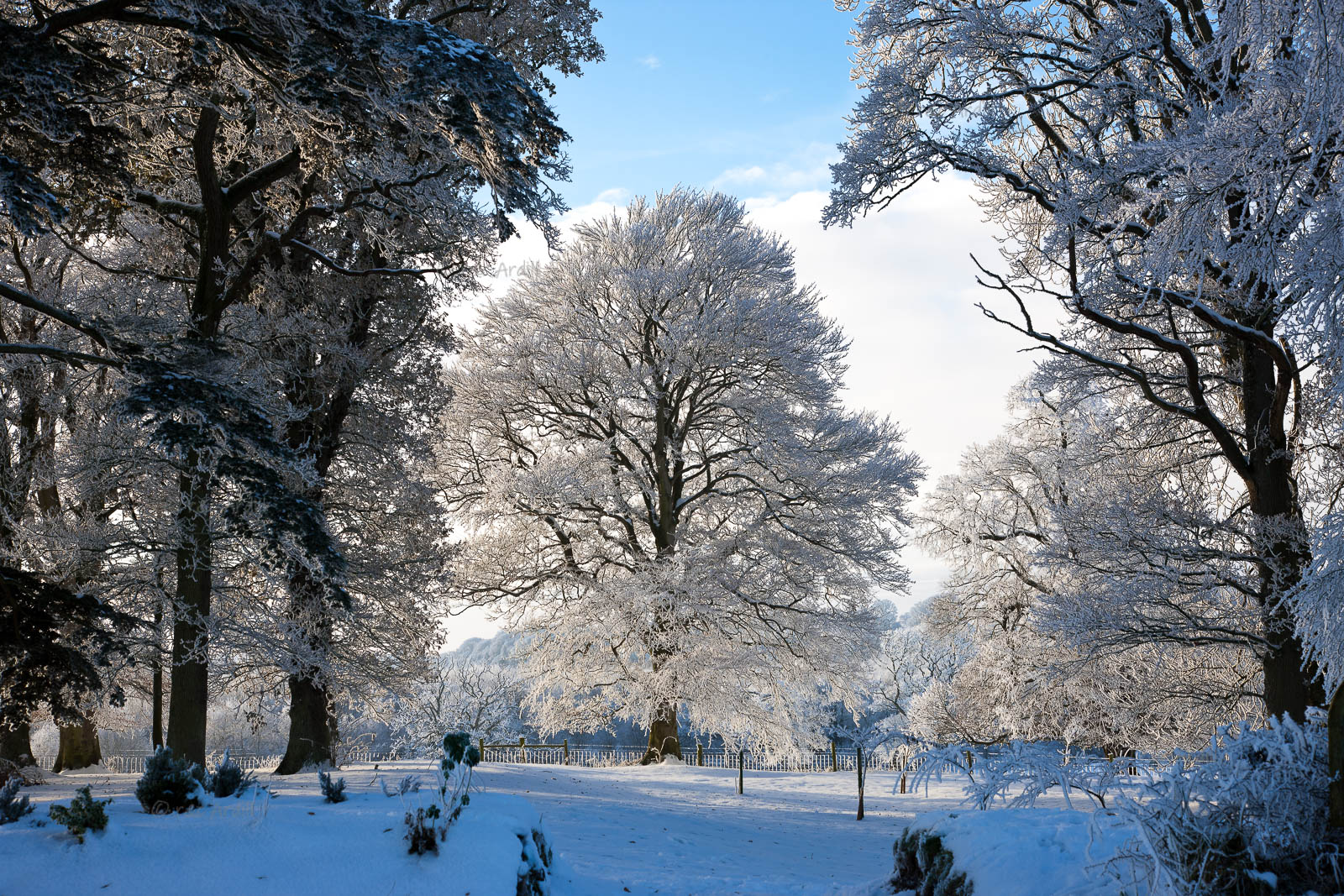 Photo of Meath Dalgan Park in Snow - T13715