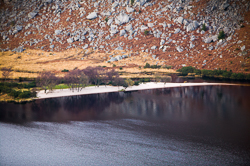 Gallery of Photos of Wicklow