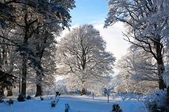 Photograph of Meath Dalgan Park in Snow - T13715